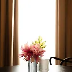 Sun Serenity Apartament *